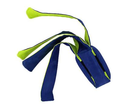 CR02 - Clean Run Fern Treat Dispensing Pull Apart toy