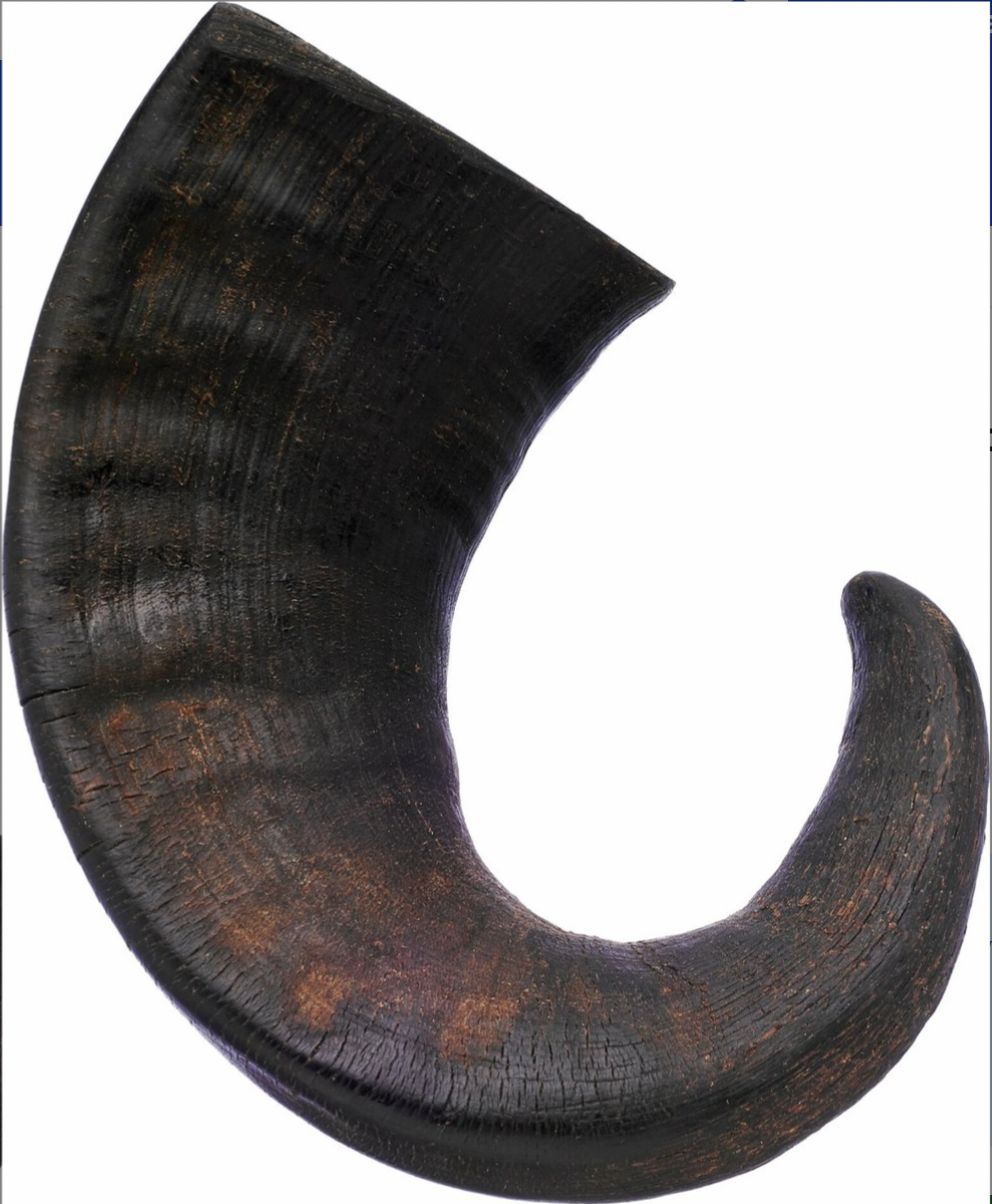 Stash Water Buffalo Horn Large