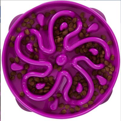 Outward Hound Fun Feeder Slo Bowl Medium Purple