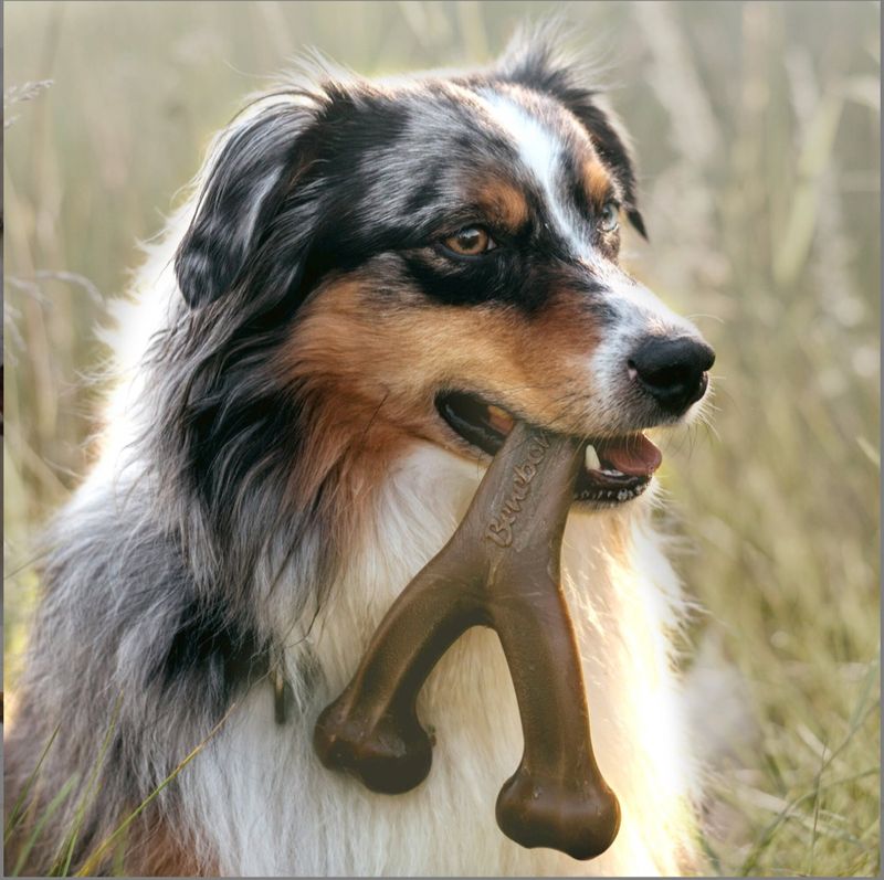 Benebone Medium Peanut Butter Regular