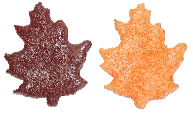 Cookie15 - Leaf Leaves Fall Cookie