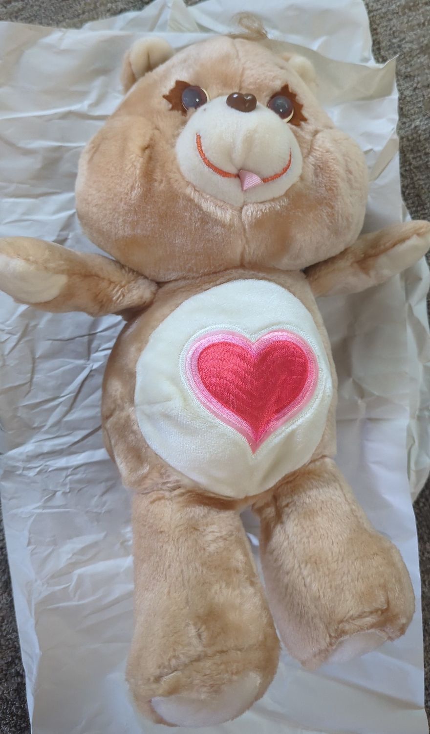 Care Bears Tenderheart Plush