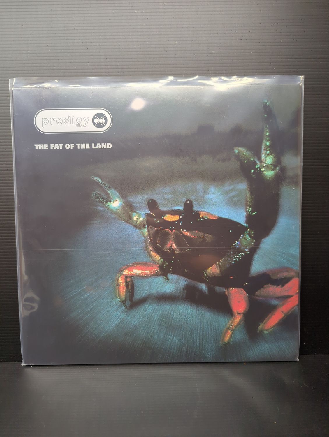Vinyl Record Prodigy The Fat Of The Land