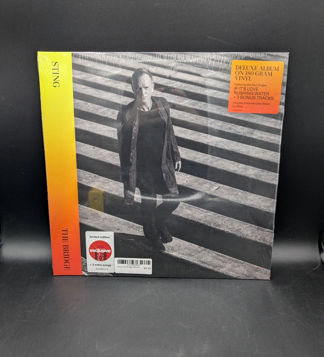 Vinyl Record Sting The Bridge