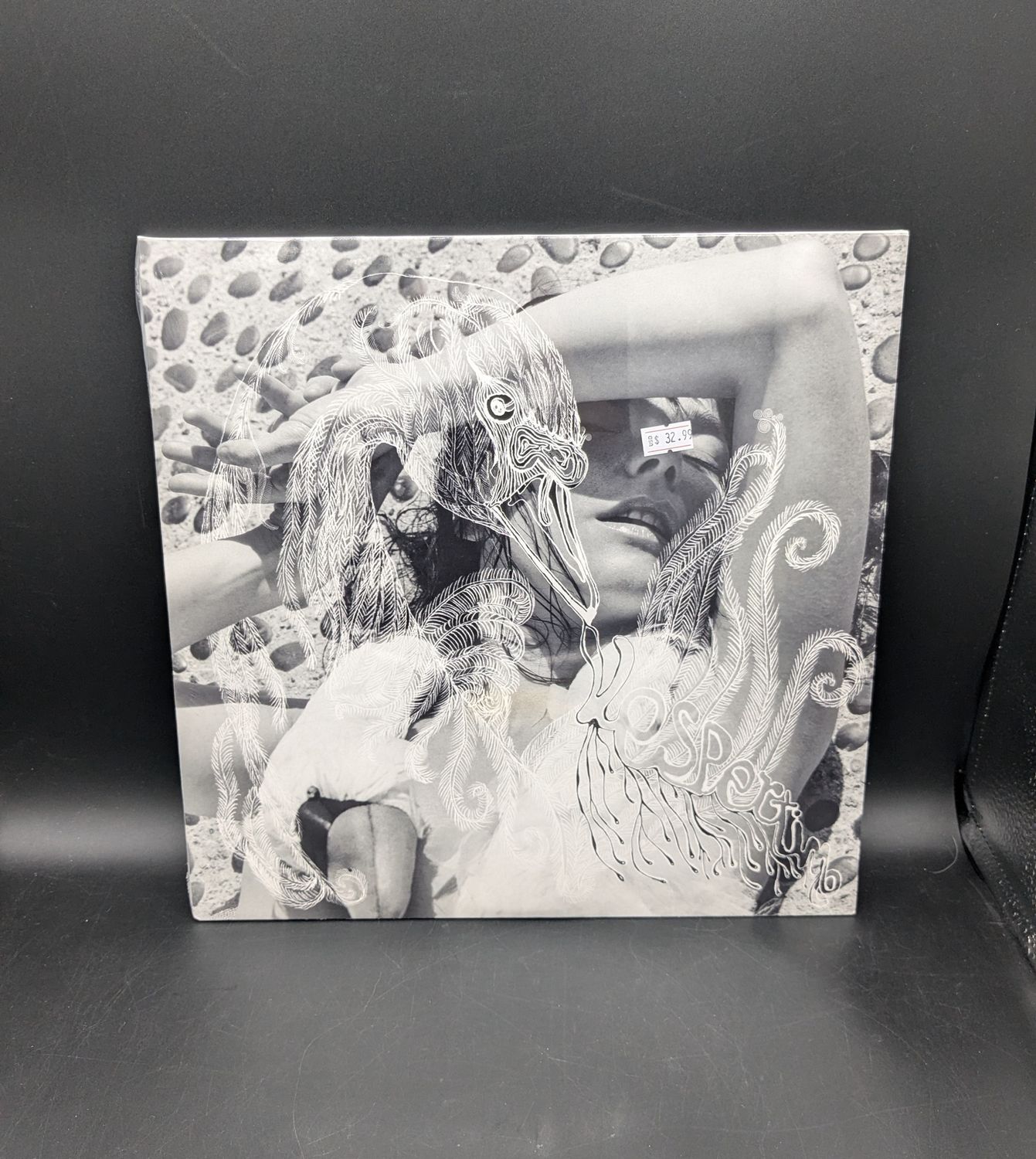 Vinyl Record Björk Vespertine
