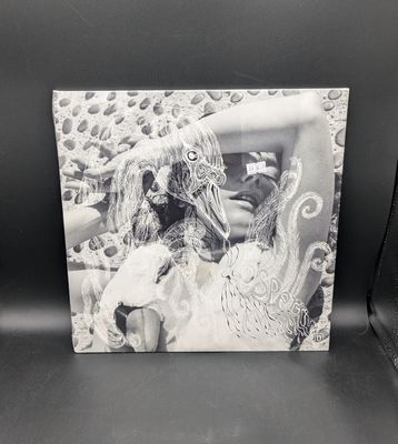 Vinyl Record Björk Vespertine