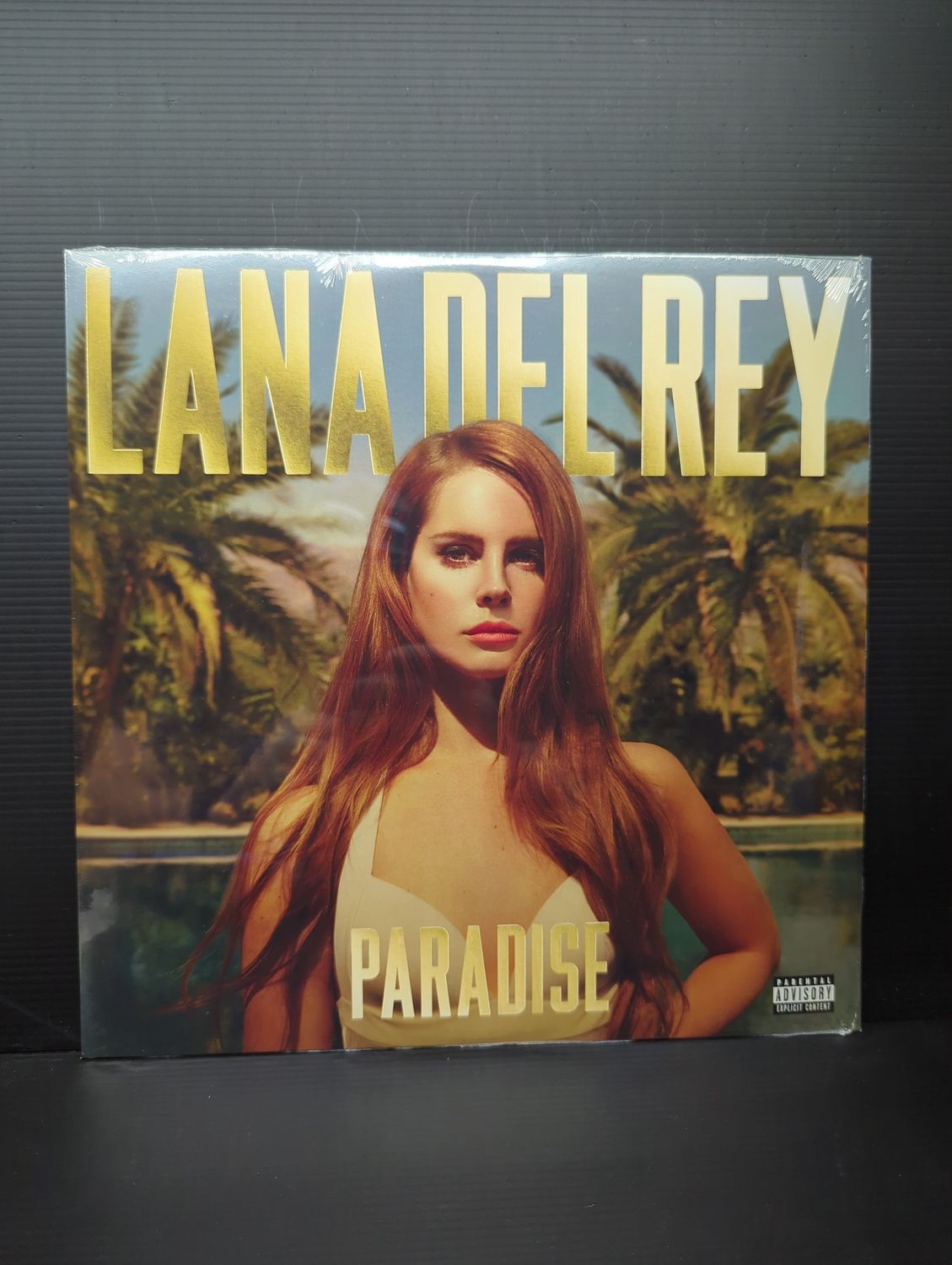 Vinyl Record Lana Del Rey Paradise
