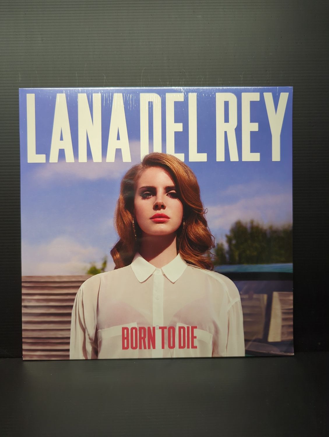 Vinyl Record Lana Del Rey Born To Die