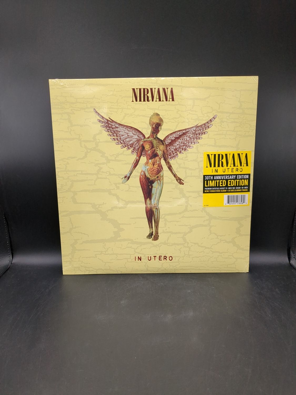 Vinyl Record: Nirvana: In Utero