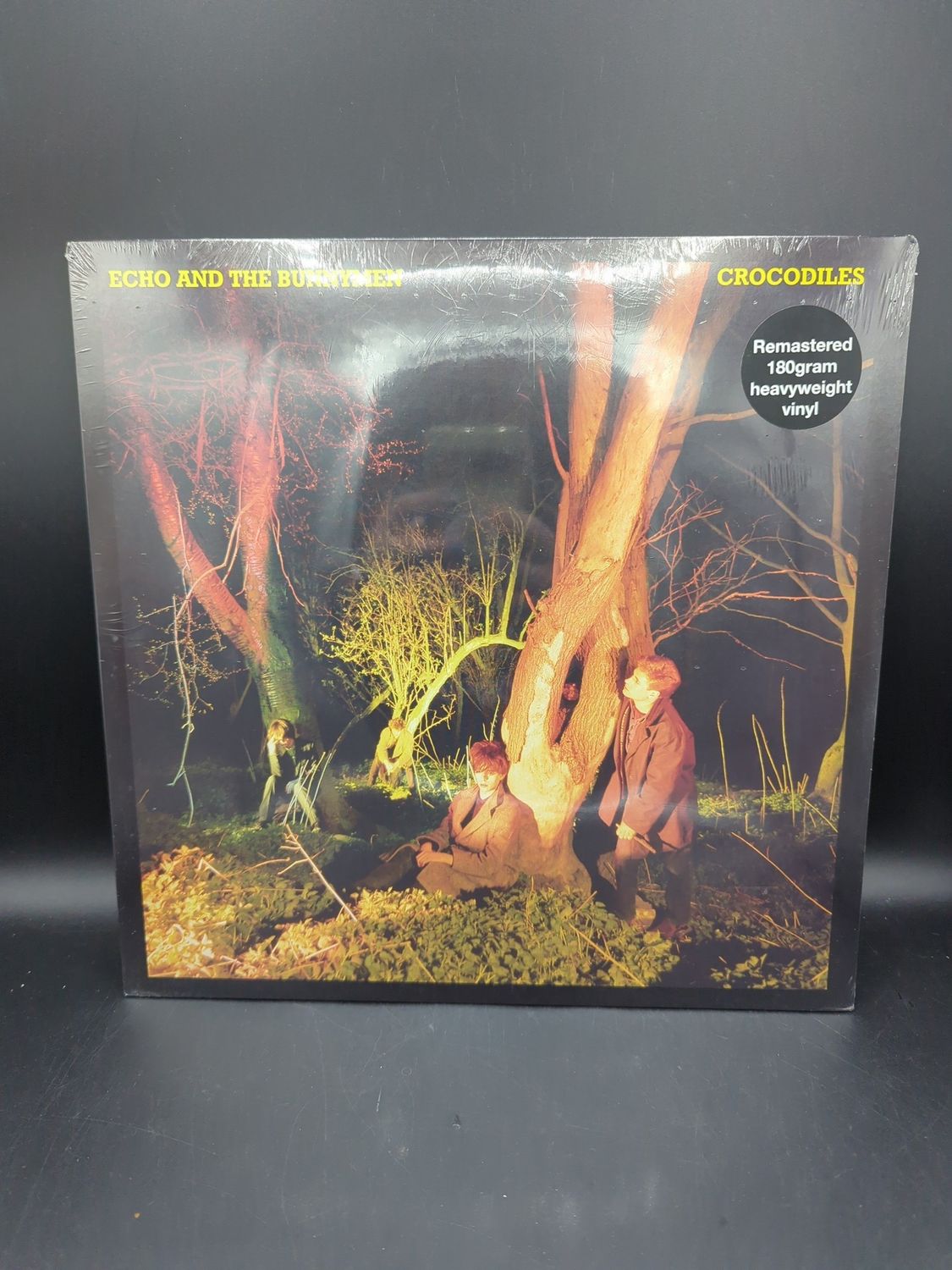 Vinyl Record Echo &amp; The Bunnymen- Crocodiles