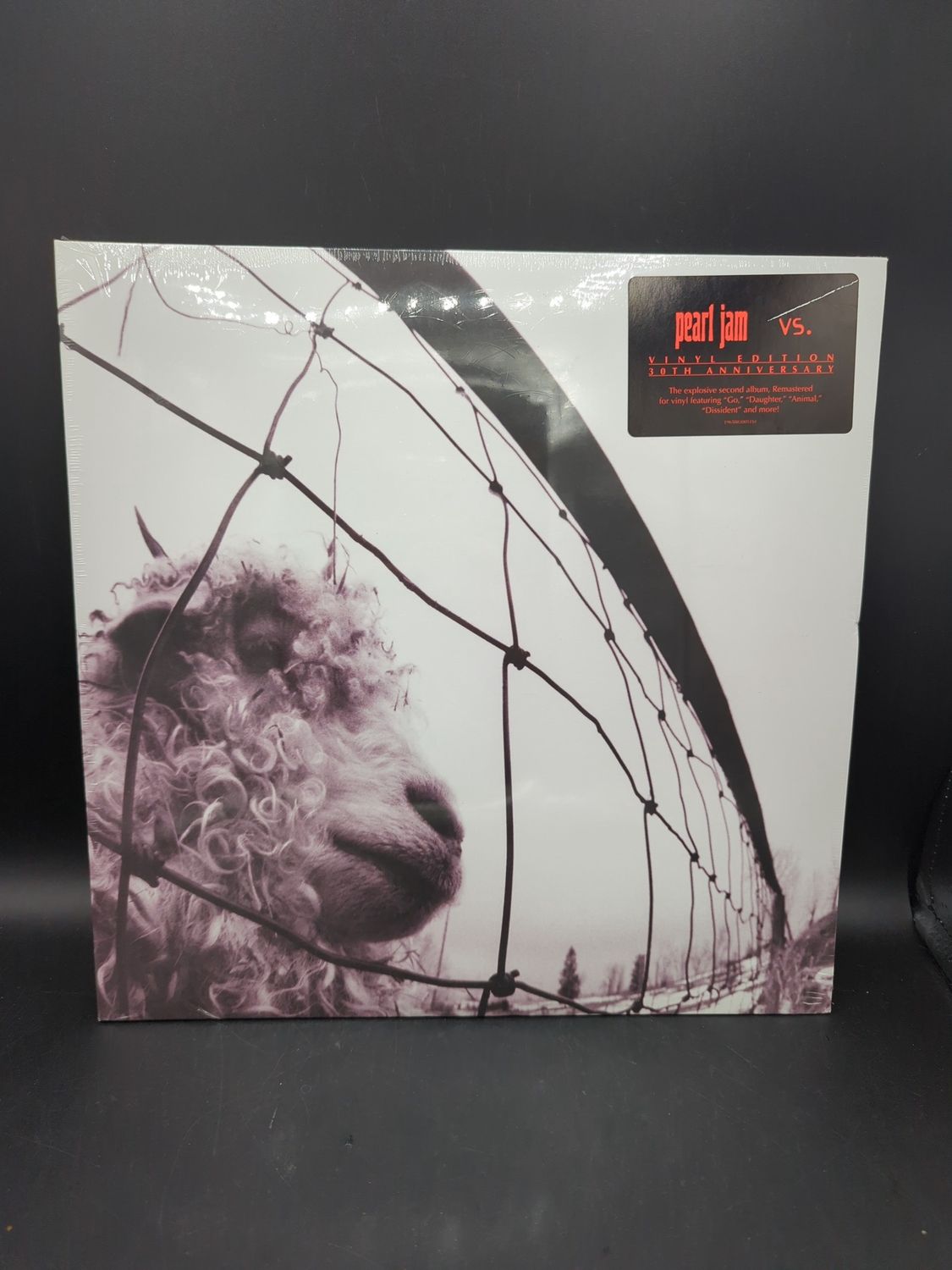 Vinyl Record Pearl Jam vs. Edition Remastered