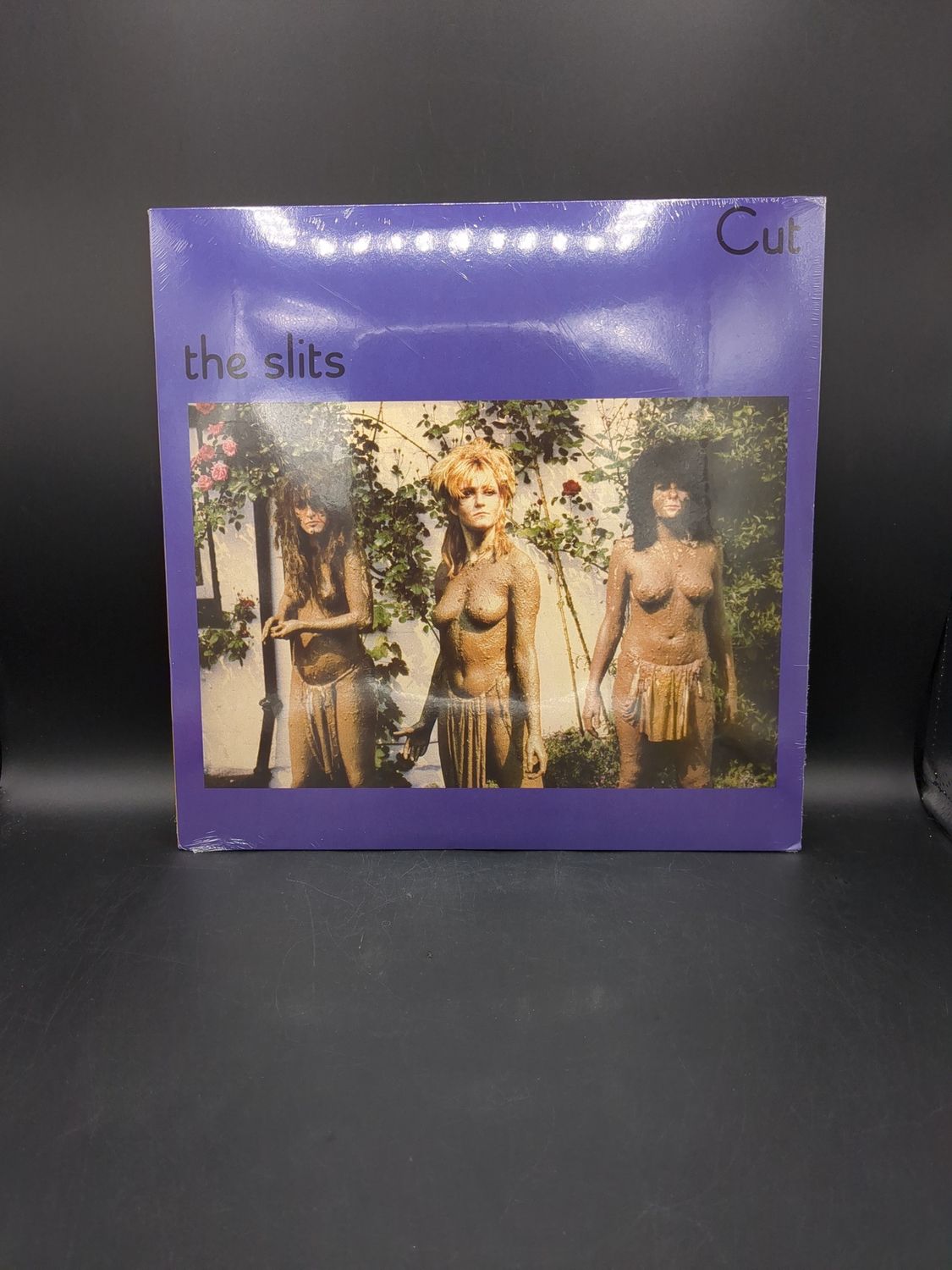 Vinyl Record The Slits Cut