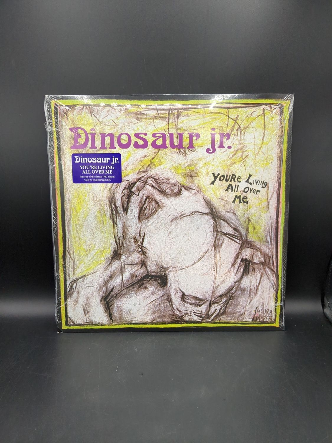 Vinyl Record You'Re Living All Over Me By Dinosaur Jr