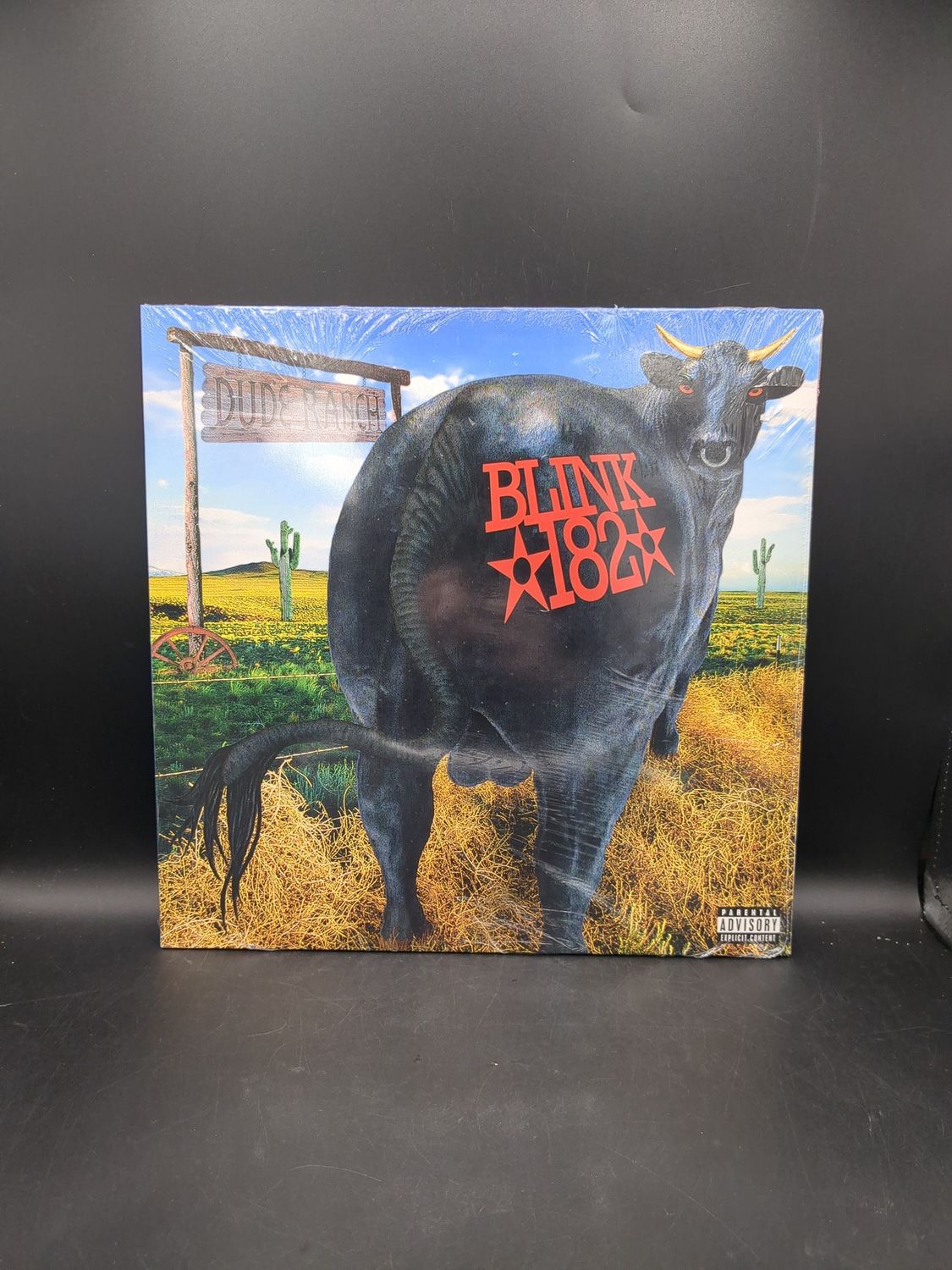 Vinyl Record Dude Ranch By Blink 182