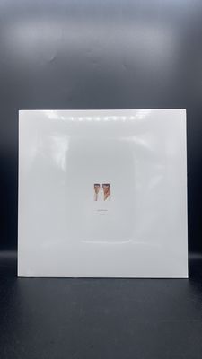 Vinyl Record Pet Shop Boys Please