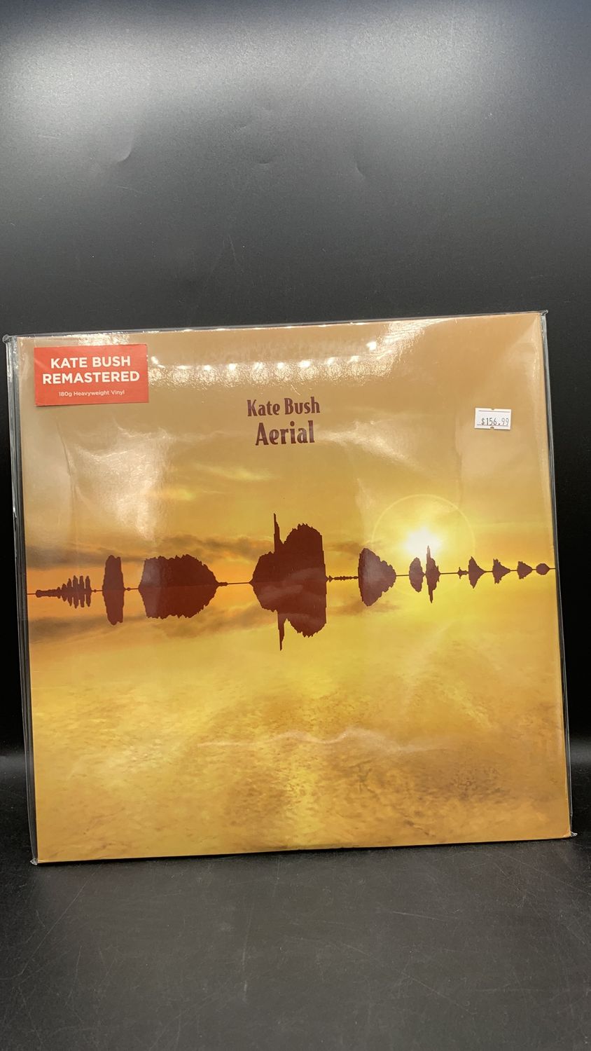 Vinyl Record Kate Bush Aerial