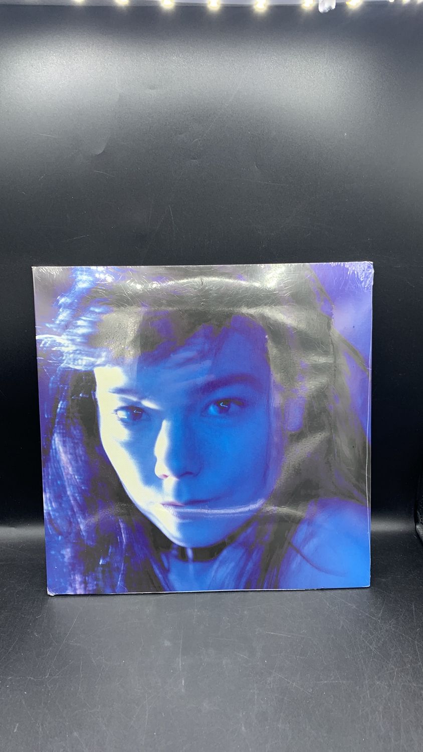 Vinyl Record Björk Telegram