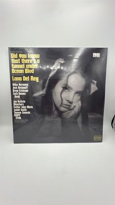 Vinyl Record Lana Del Rey Did You know There’s a Tunnel Under Ocean Blvd