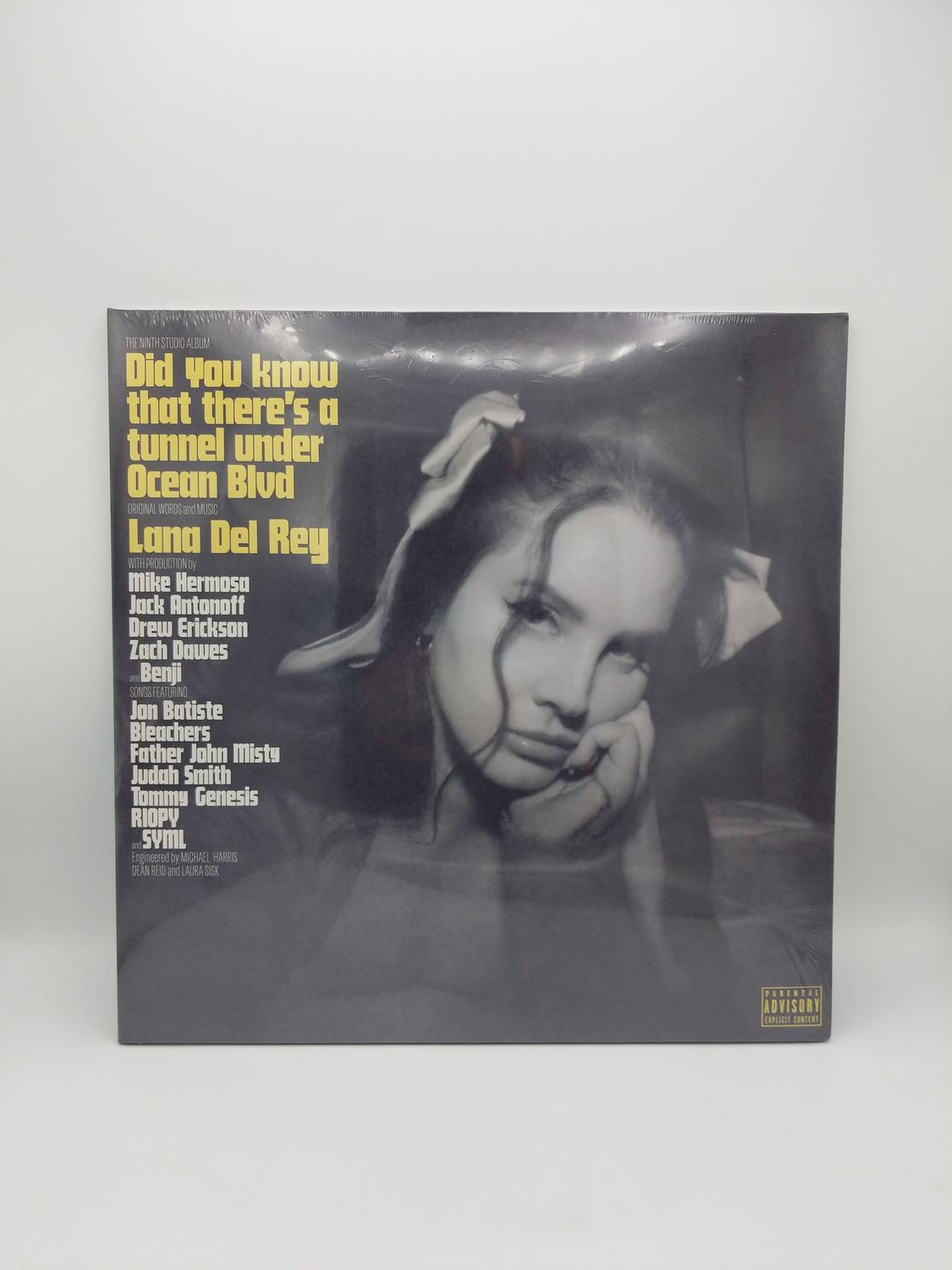 Vinyl Record Lana Del Rey Did You know There’s a Tunnel Under Ocean Blvd