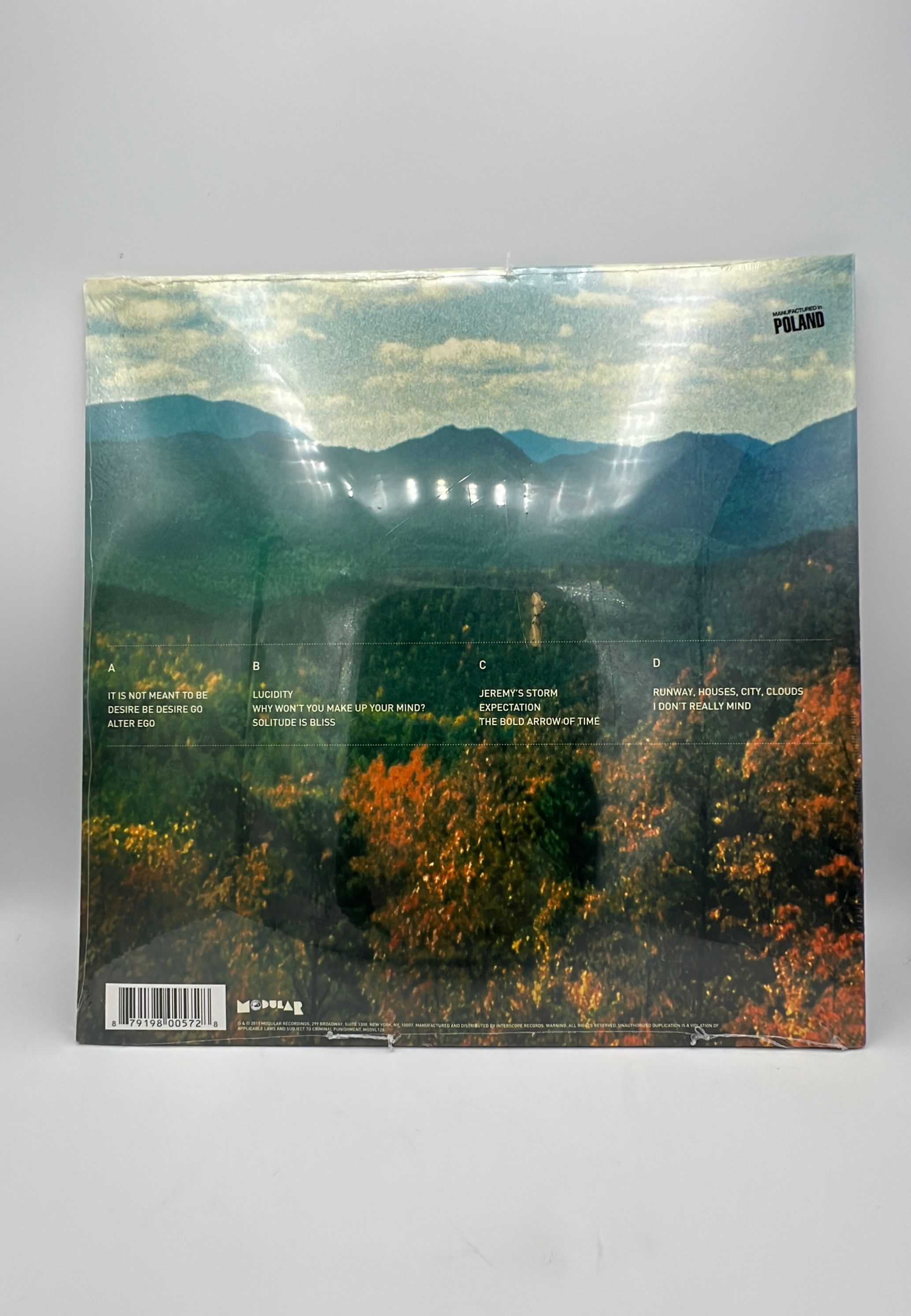 Vinyl Record Tame Impala Innerspeaker view 2