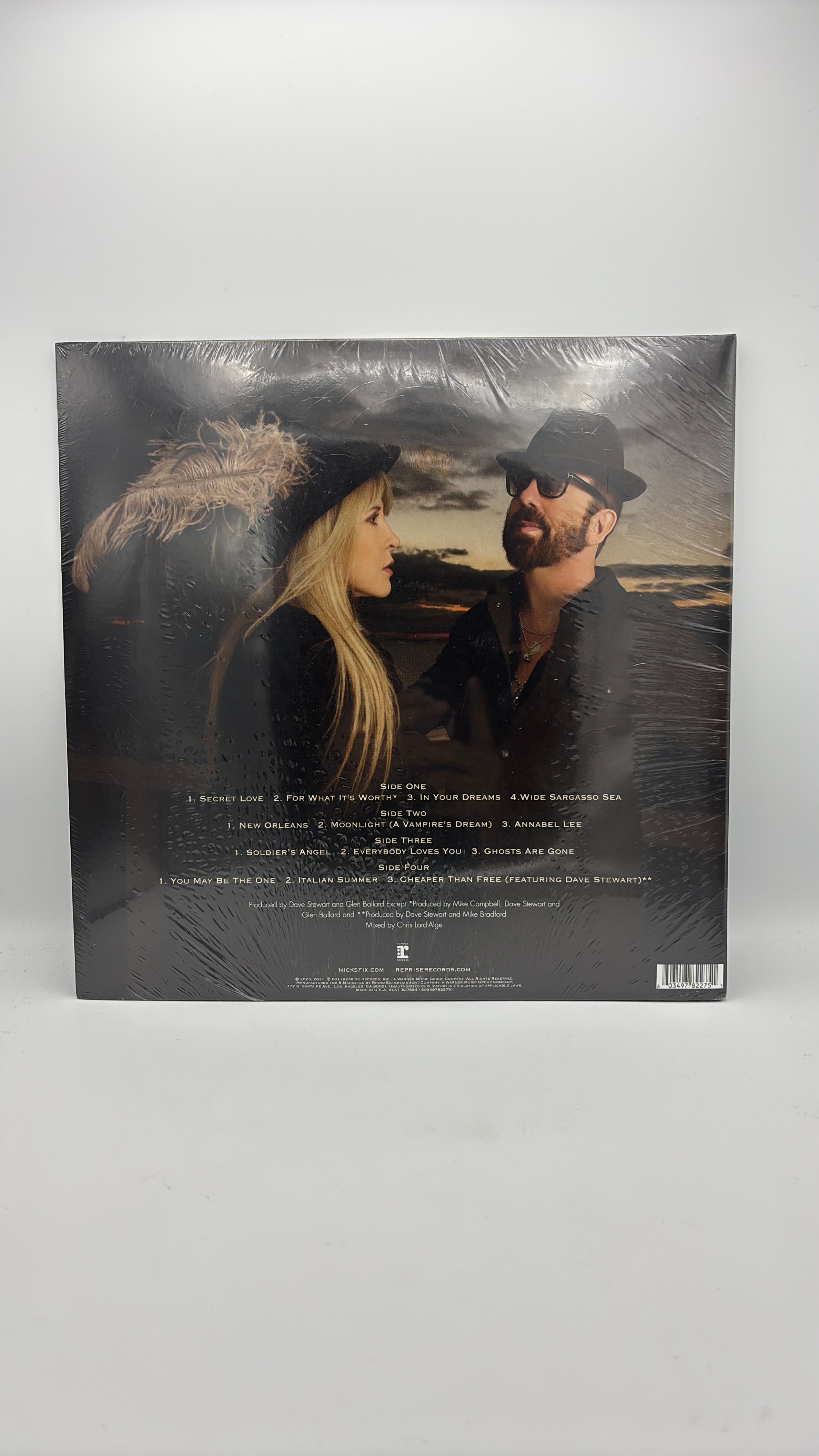 Vinyl Record In Your Dreams By Steve Nicks view 2