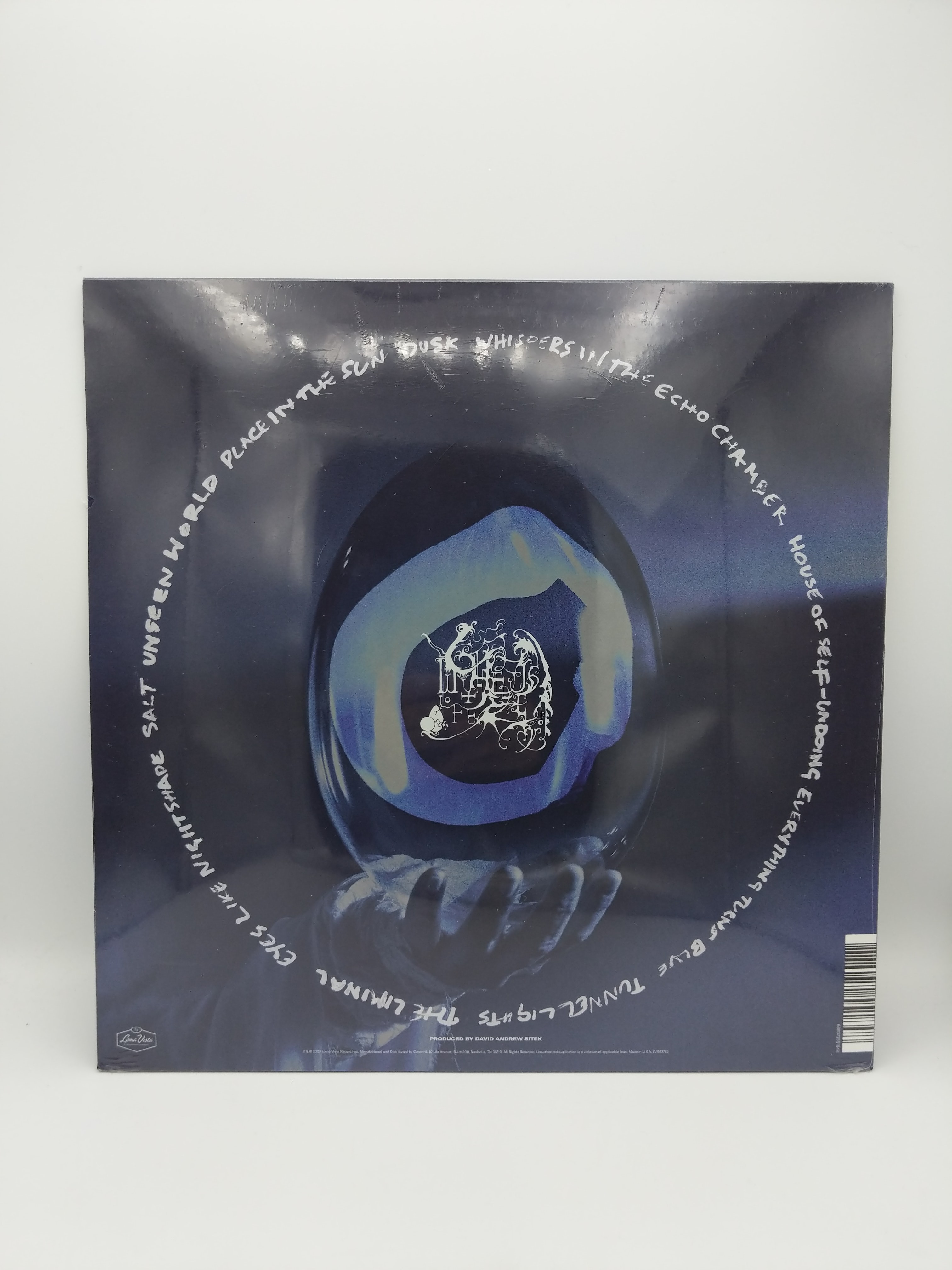 Vinyl Record | Chesea Wolfe | She Reaches Out to She Reaches Out to She view 2