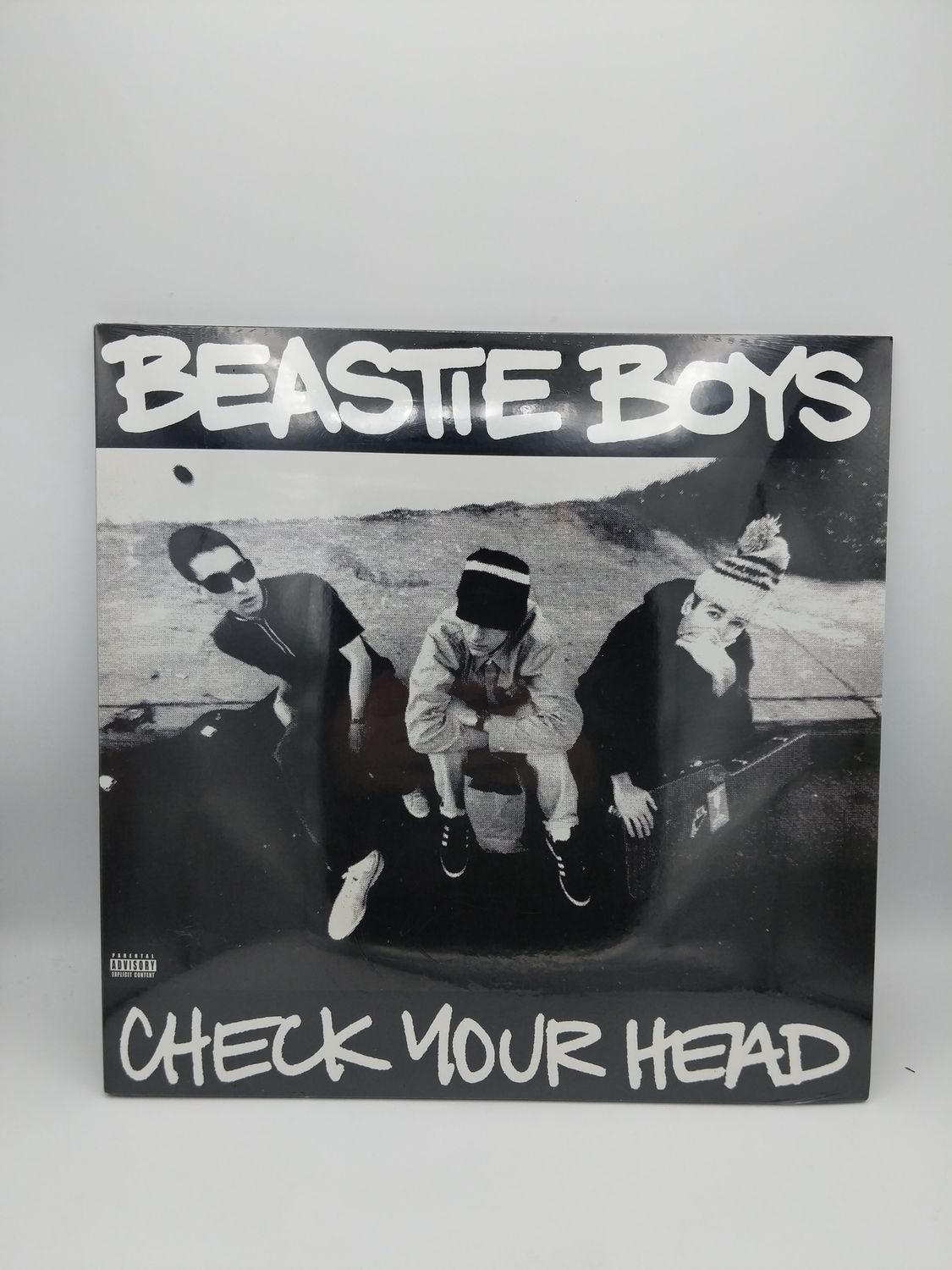 Vinyl Record Beastie Boys Check Your Head