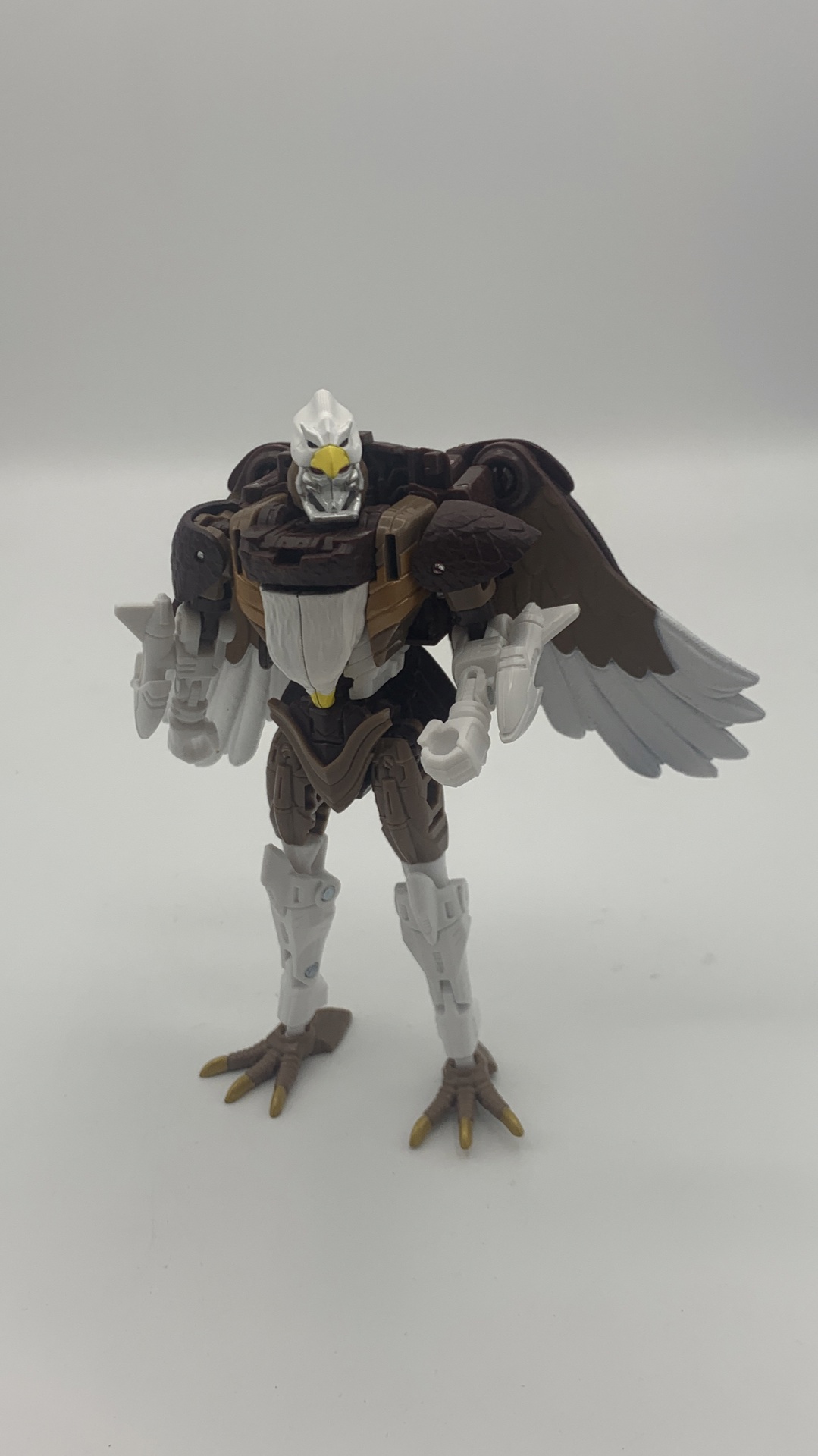 Hasbro Transformers War For Cybertron Kingdom Maximal Skywarp Figure 2021 (used)