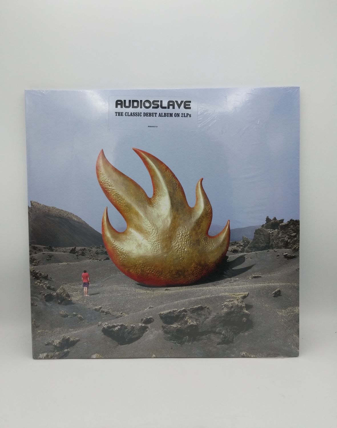 Vinyl Record Audioslave 2LP