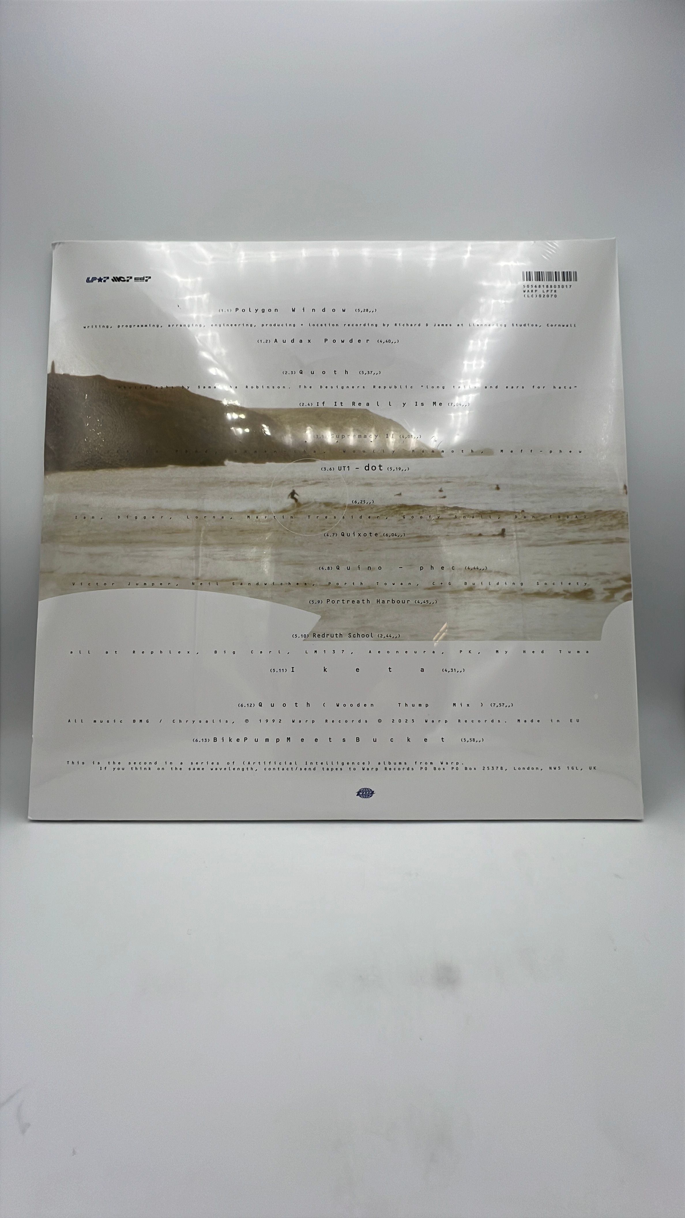 VInyl Record | Polygon Window | Surfing on Sine Waves view 2