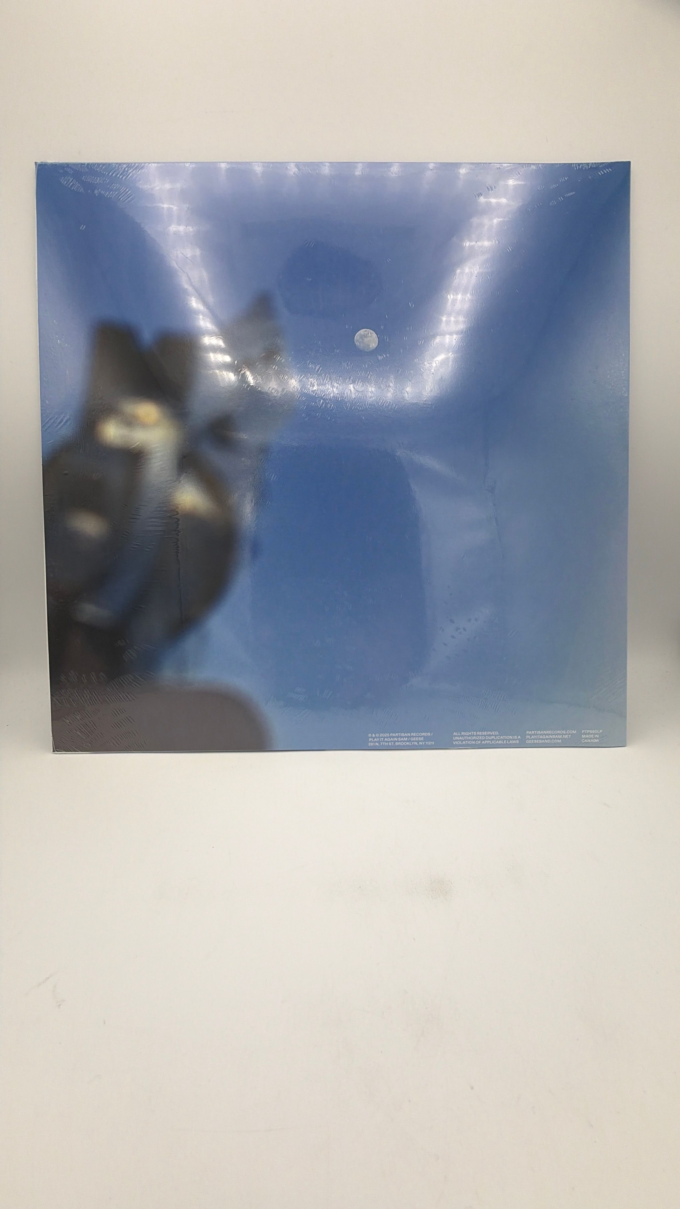 VInyl Record | Geese | Getting Killed view 2
