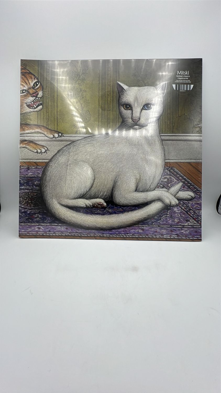 VInyl Record | Mitski | Nothing’s About to Happen to Me