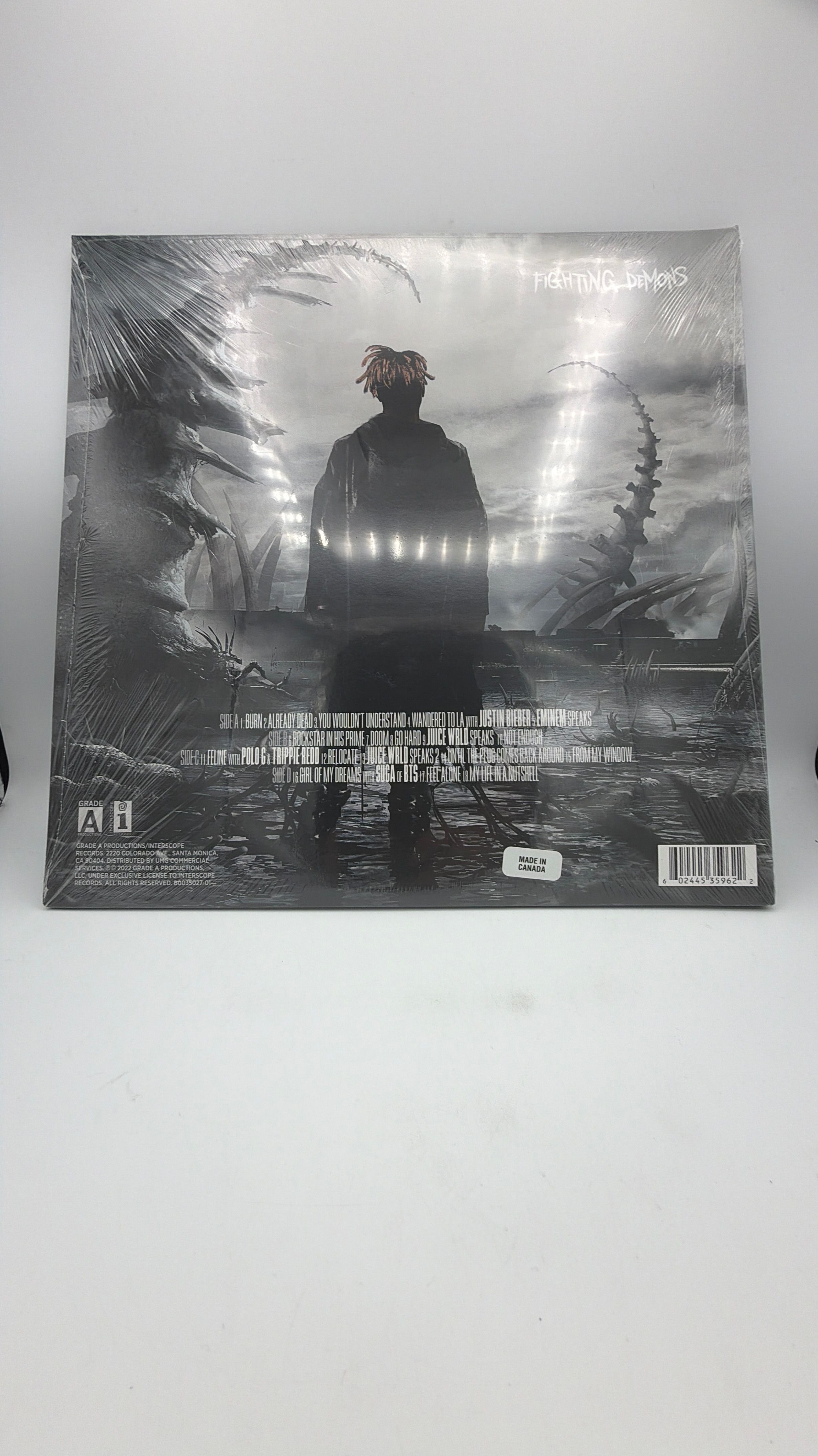 VInyl Record | Fighting Demons | Juice WRLD view 2