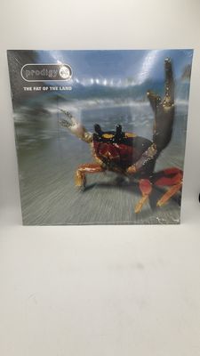 Vinyl Record | Prodigy | The Fat of the Land