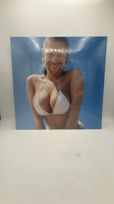 Vinyl Record | Aphex Twin | Windowlicker