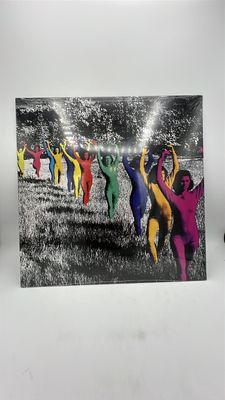 Vinyl Record | TV Girl | Death of a Party Girl