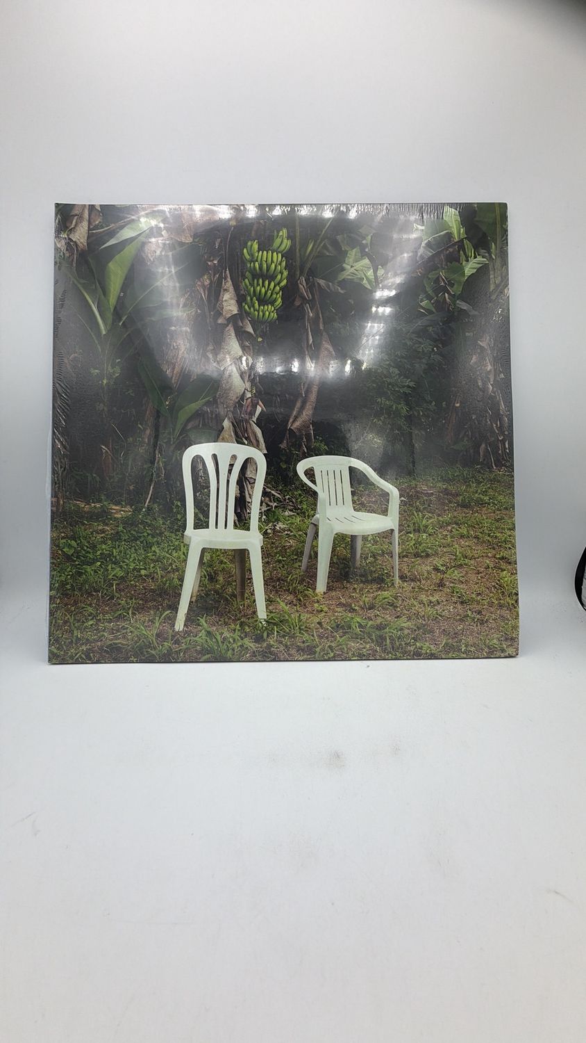 Vinyl Record | Bad Bunny | Debí Tirar Más Fotos