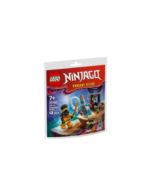 Lego 30700 Ninjago Dragon's Rising Arin vs. Dragonian Battle 2025