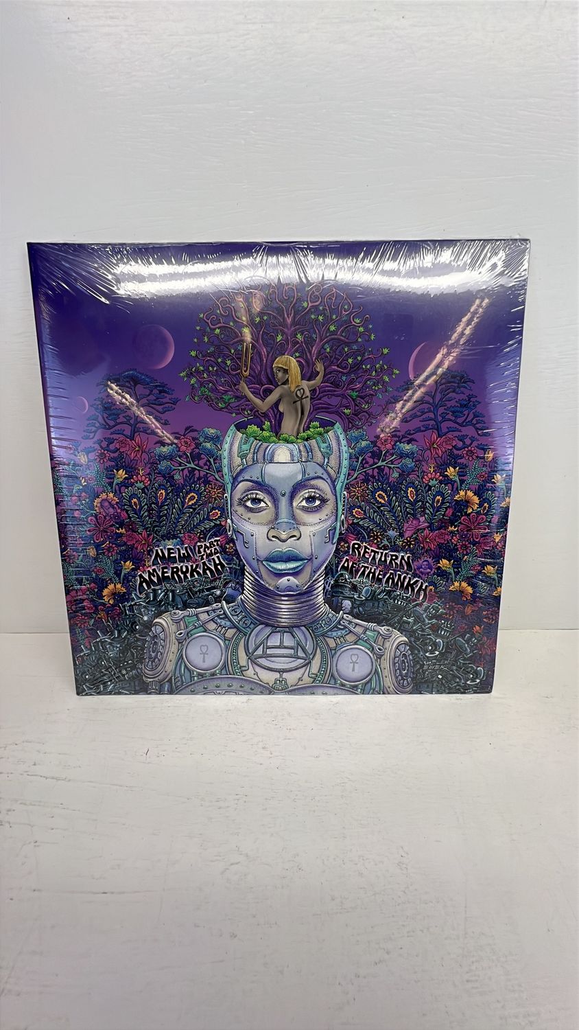 Vinyl Record | Erykah Badu | New Amerykah Part Two: Return Of The Ankh