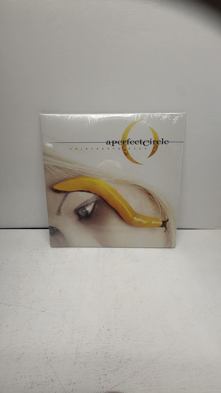 Vinyl Record | A Perfect Circle | Thirteenth Step