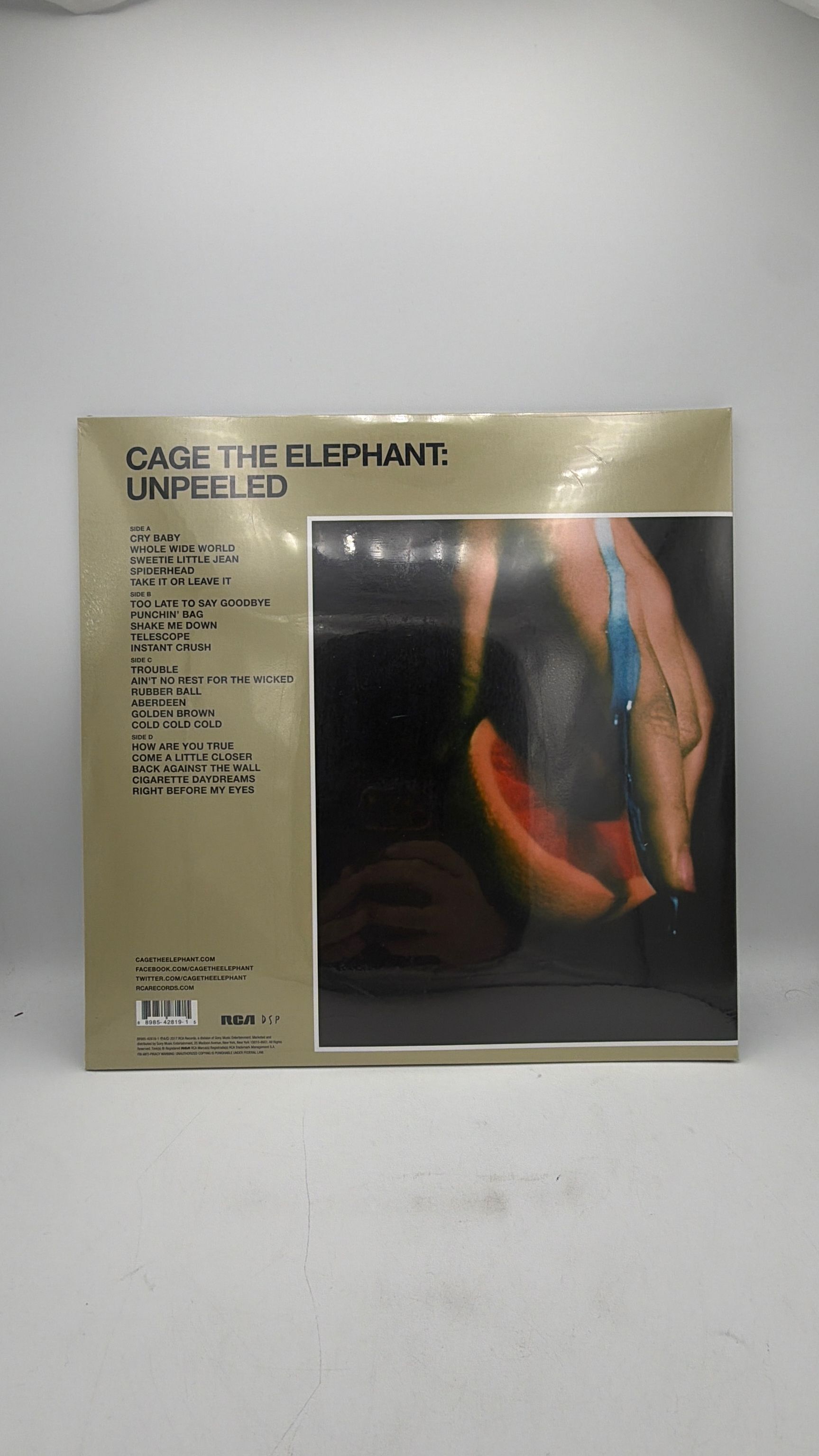 Vinyl Record | Cage The Elephant - Unpeeled (2LP 140g live acoustic album) view 2