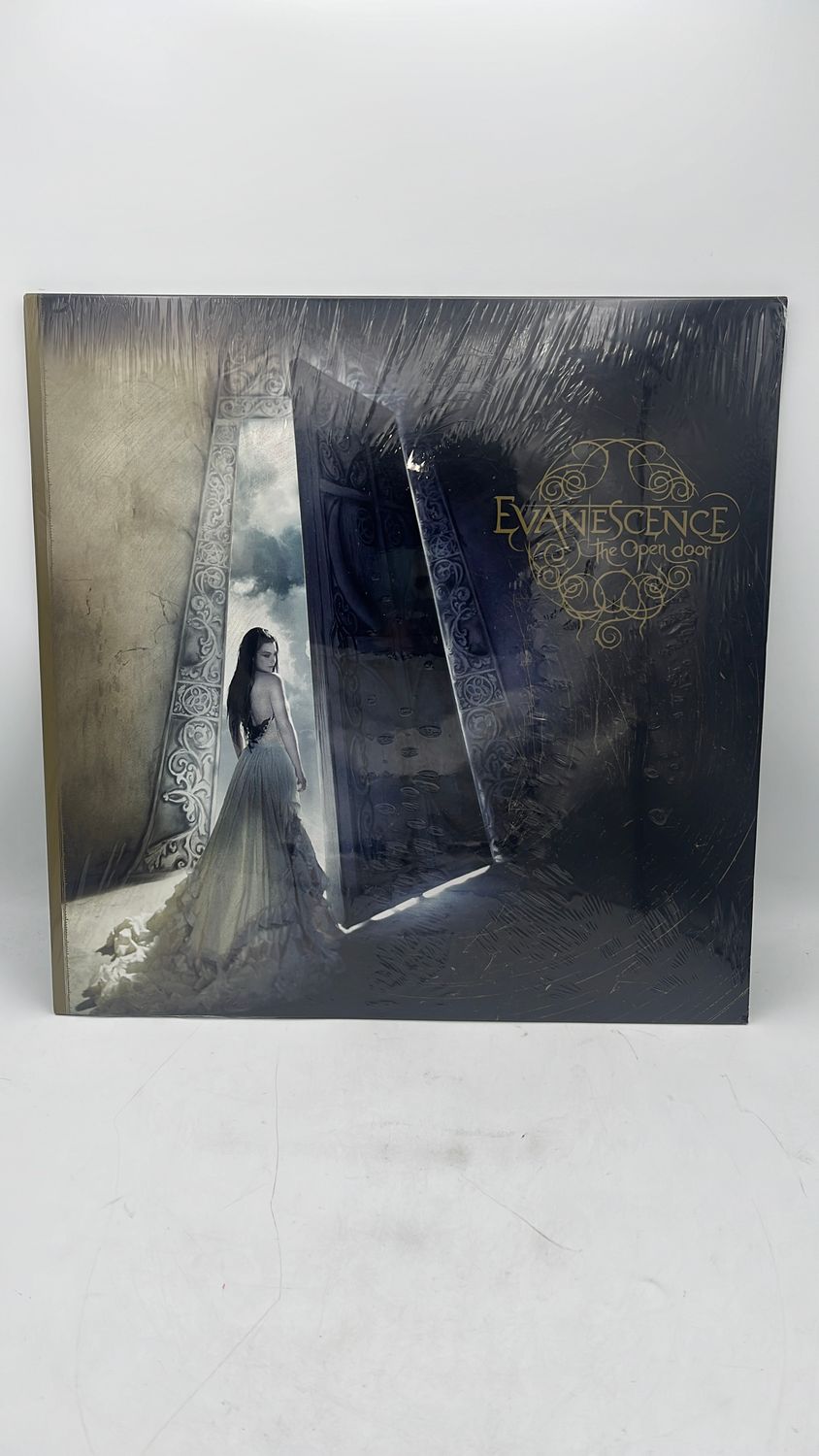 Vinyl Record Evanescence The Open Door