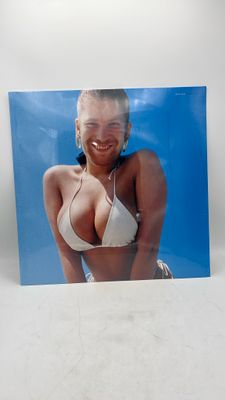 Vinyl Record Aphex Twin Windowlicker