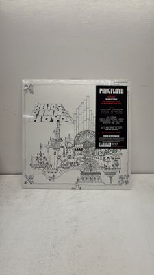 Vinyl Record | Pink Floyd - Relics
