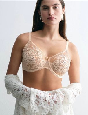 Chantelle Maris Lace Molded Bra C16IMV