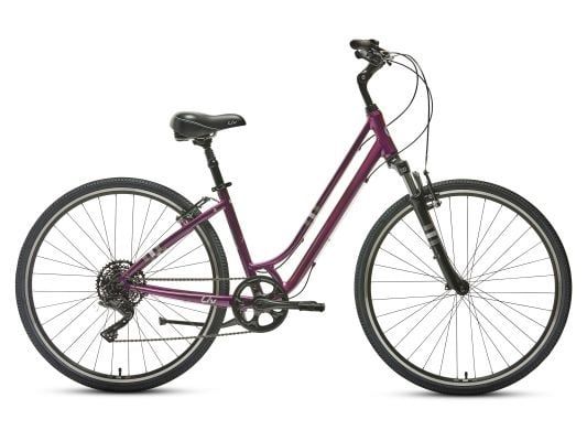 Flourish FS 1 XS Chameleon Plum