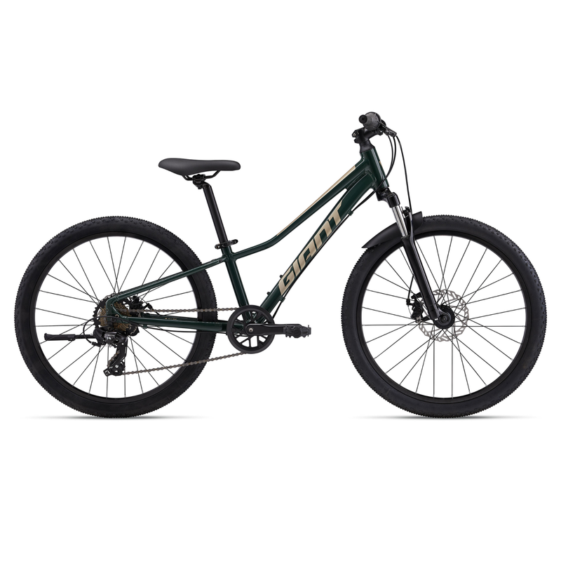 Talon 24 Disc Trekking Green