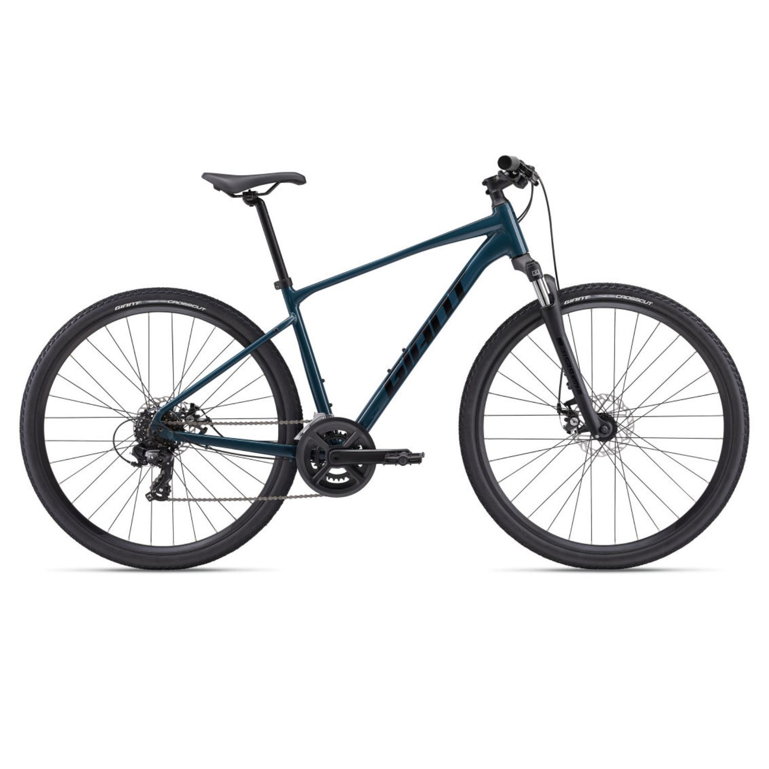 Roam 4 Disc