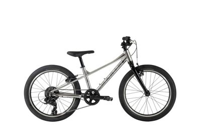 COAST TRAIL 20 7SP X SILVER/BLACK, 0, 0