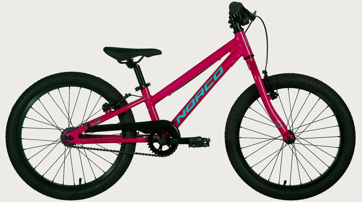 Norco ROLLER 20 PINK/BLUE 20&quot;